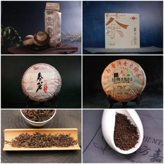 Everyday Shou Discovery Box — 6 Ripe Pu-erh, 250g, Free Ship